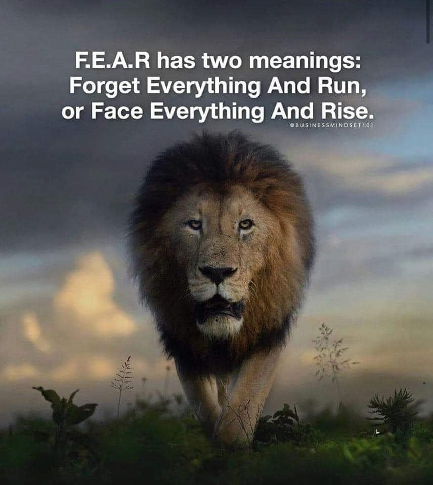 F.E.A.R. – Face Everything And Rise